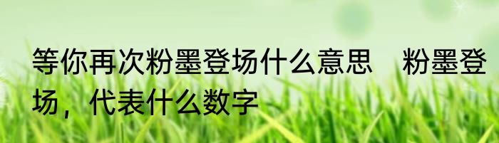 等你再次粉墨登场什么意思　粉墨登场，代表什么数字