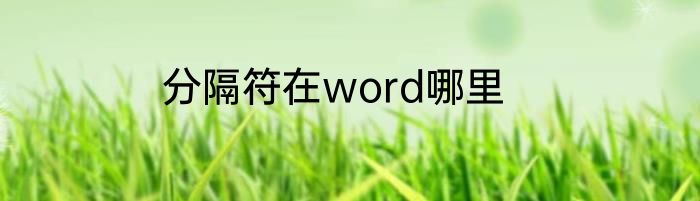 分隔符在word哪里