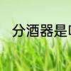 分酒器是啥样的　分酒器容量对比