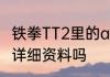 铁拳TT2里的angel什么来头，有她的详细资料吗