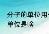 分子的单位用什么表示　相对分子量单位是啥