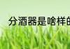 分酒器是啥样的　分酒器容量对比