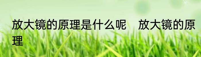 放大镜的原理是什么呢　放大镜的原理