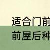 适合门前屋后栽的四季常青的树　门前屋后种什么果树好