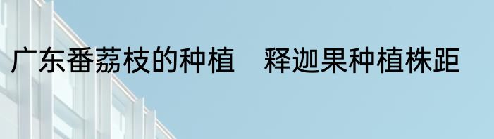 广东番荔枝的种植　释迦果种植株距