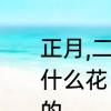 正月,二月,三月,到十二月每个月都开什么花　能开二月花的风是什么季节的