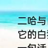 二哈与白猫师尊宋梧桐结局　二哈和它的白猫师尊第一世楚晚宁死的最后一句话