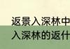返景入深林中的返景什么意思　返景入深林的返什么意思