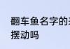 翻车鱼名字的来历　翻车鱼游起来会摆动吗