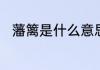 藩篱是什么意思　藩篱文言文意思