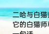 二哈与白猫师尊宋梧桐结局　二哈和它的白猫师尊第一世楚晚宁死的最后一句话