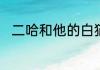 二哈和他的白猫师尊什么是意难平