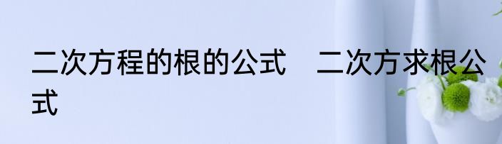 二次方程的根的公式　二次方求根公式
