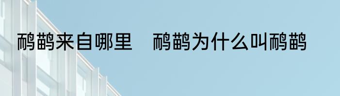 鸸鹋来自哪里　鸸鹋为什么叫鸸鹋