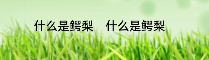 什么是鳄梨　什么是鳄梨