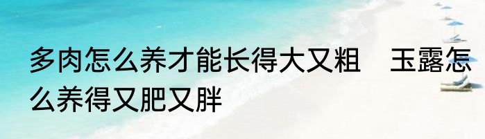 多肉怎么养才能长得大又粗　玉露怎么养得又肥又胖