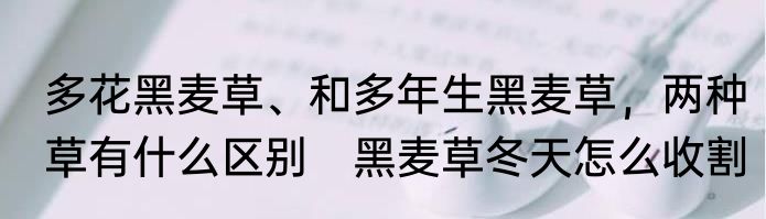 多花黑麦草、和多年生黑麦草，两种草有什么区别　黑麦草冬天怎么收割