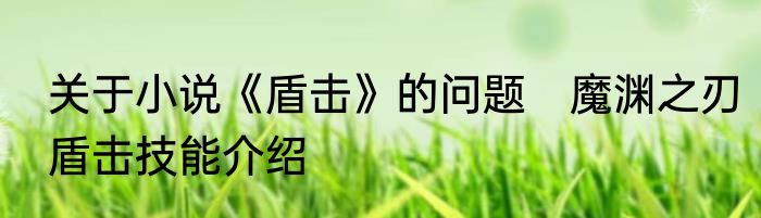 关于小说《盾击》的问题　魔渊之刃盾击技能介绍