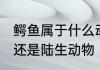 鳄鱼属于什么动物　鳄鱼是水生动物，还是陆生动物