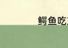 鳄鱼吃东西直接吞吗