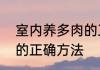 室内养多肉的正确方法　室内养多肉的正确方法