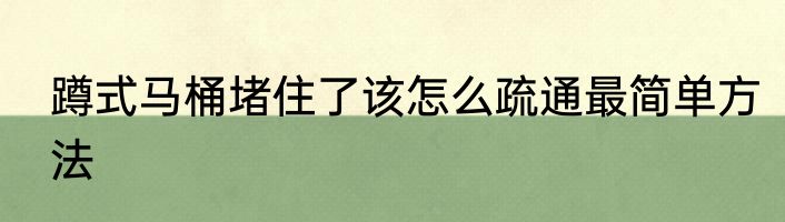 蹲式马桶堵住了该怎么疏通最简单方法