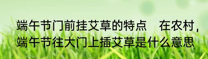 端午节门前挂艾草的特点　在农村，端午节往大门上插艾草是什么意思