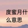度蜜月什么意思啊　度蜜月到底是什么意思