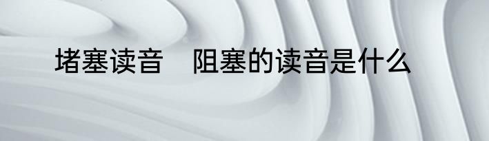 堵塞读音　阻塞的读音是什么