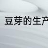 豆芽的生产方法　无根豆芽生产技术