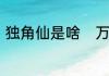 独角仙是啥　万荣吴庄村有独角仙吗