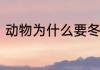 动物为什么要冬眠　动物为什么冬眠