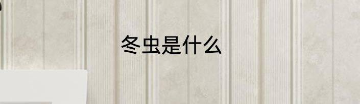 冬虫是什么