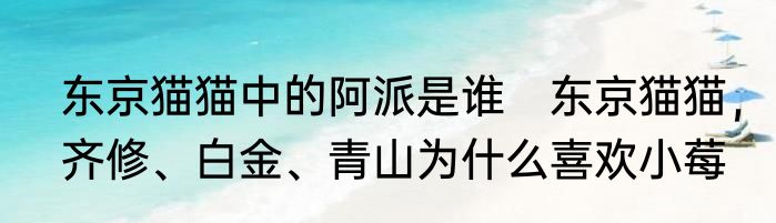 东京猫猫中的阿派是谁　东京猫猫，齐修、白金、青山为什么喜欢小莓