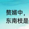 赘婿中，东南枝是什么意思　何不挂东南枝是什么意思