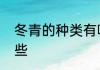 冬青的种类有哪些　冬青的种类有哪些