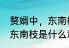 赘婿中，东南枝是什么意思　何不挂东南枝是什么意思