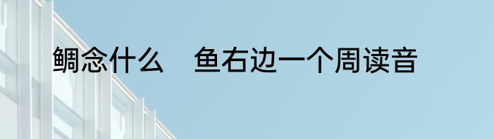 鲷念什么　鱼右边一个周读音