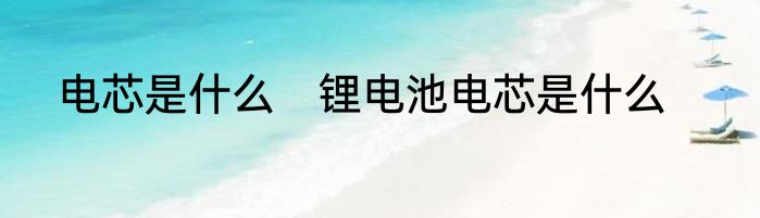 电芯是什么　锂电池电芯是什么