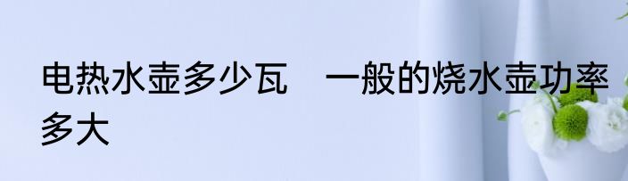 电热水壶多少瓦　一般的烧水壶功率多大