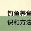 钓鱼养鱼的正确方法　钓鱼的基本知识和方法
