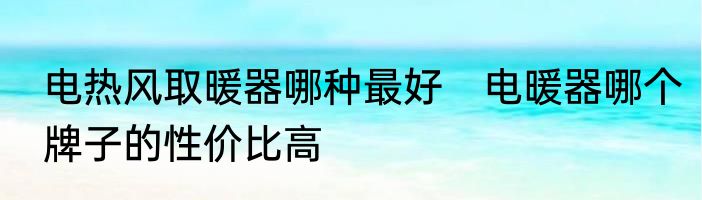 电热风取暖器哪种最好　电暖器哪个牌子的性价比高