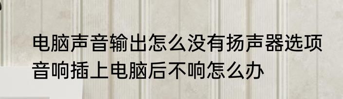 电脑声音输出怎么没有扬声器选项　音响插上电脑后不响怎么办