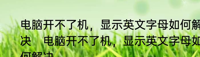 电脑开不了机，显示英文字母如何解决　电脑开不了机，显示英文字母如何解决