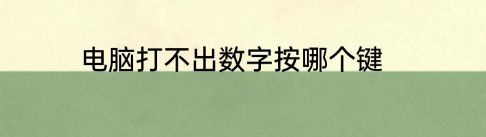 电脑打不出数字按哪个键