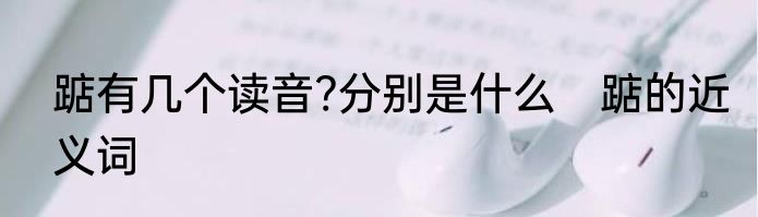 踮有几个读音?分别是什么　踮的近义词