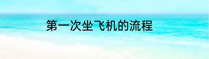 第一次坐飞机的流程