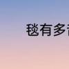 毯有多音字吗　毯字粤语读音