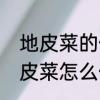 地皮菜的做法地皮菜怎么做好吃　地皮菜怎么做才好吃