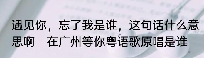 遇见你，忘了我是谁，这句话什么意思啊　在广州等你粤语歌原唱是谁